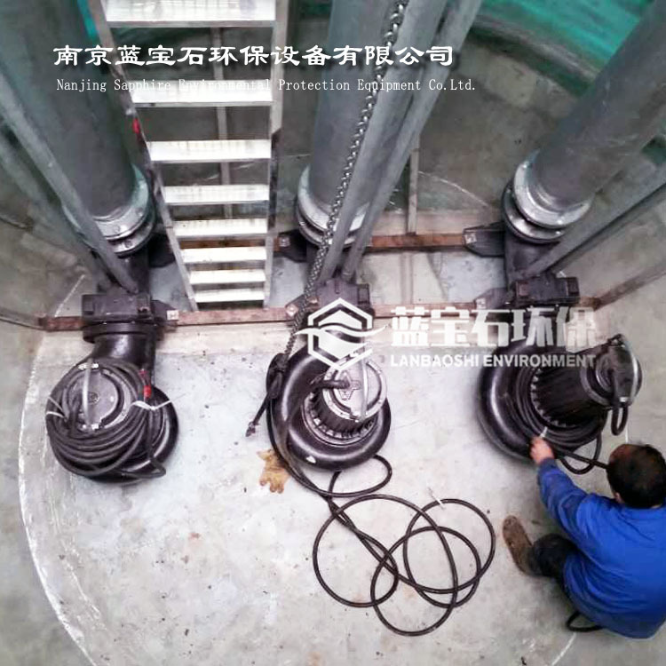 污水提升泵 潜水排污泵 铰刀泵一体化泵站专用蓝宝石供应潜污泵