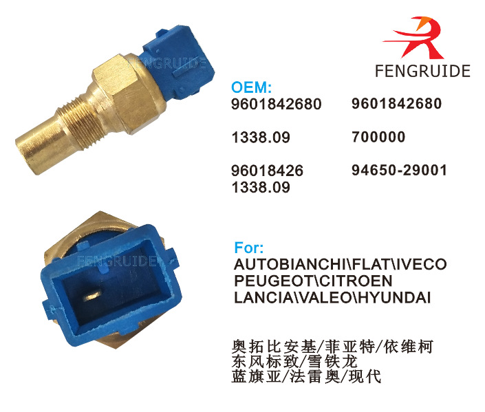 等汽车的温度传感器