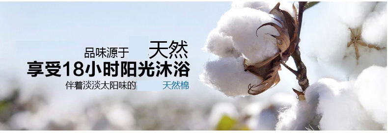 2776395172_580011261