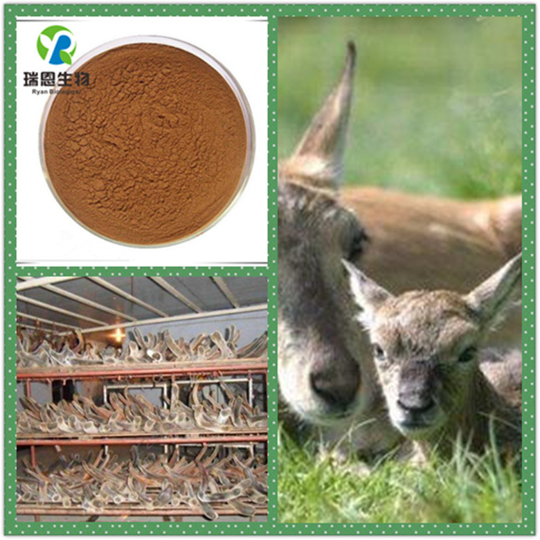 QQ截图20170310164319_副本32