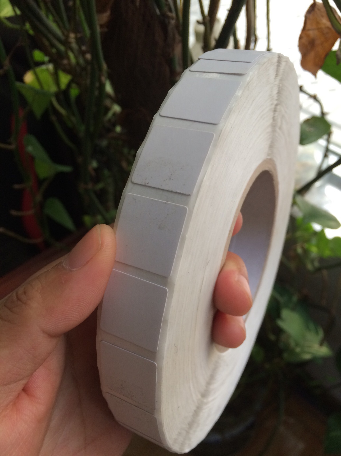 cigaChina suzhou splicing film42.5*19MM tape13.5*19*2 column