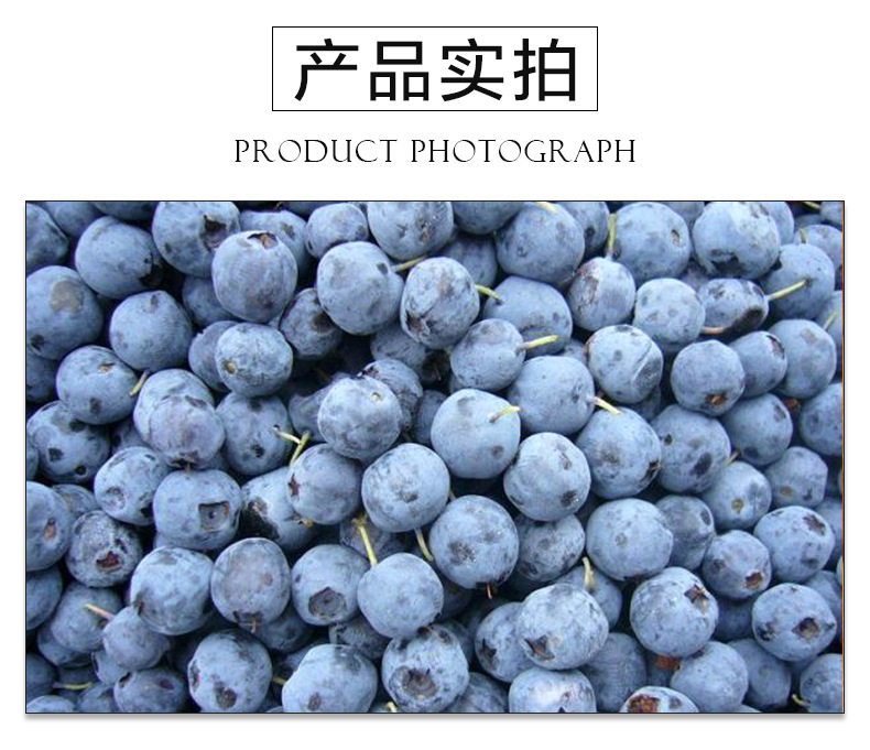 蓝莓_07