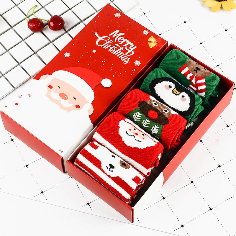 5 더블 정사이즈 스테레오