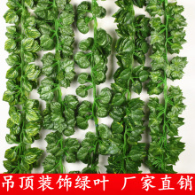 仿真绿叶藤条 绿植装饰藤蔓过胶常青藤假花藤叶子 吊顶葡萄叶批发