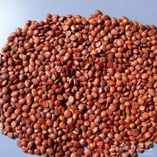 ��ș�ďS�ҟo�s��؛ �͜غ決���ᗗ�� ���a؛  �ᗗ������ă�