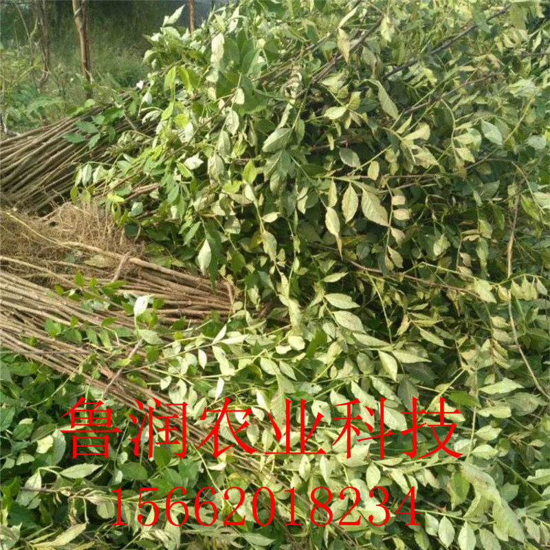 [微信图片_20170902194805]