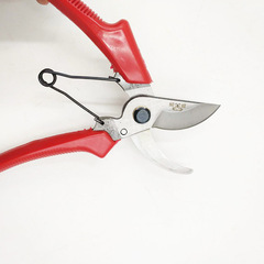 高碳鋼園藝剪植工具 專業手剪 蝴蝶剪 枝剪 整枝剪 摘果剪 疏花剪