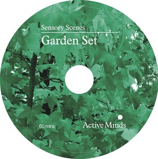 Customizable multimedia blank CD CD production printing packaging blank CD burning CD wholesale