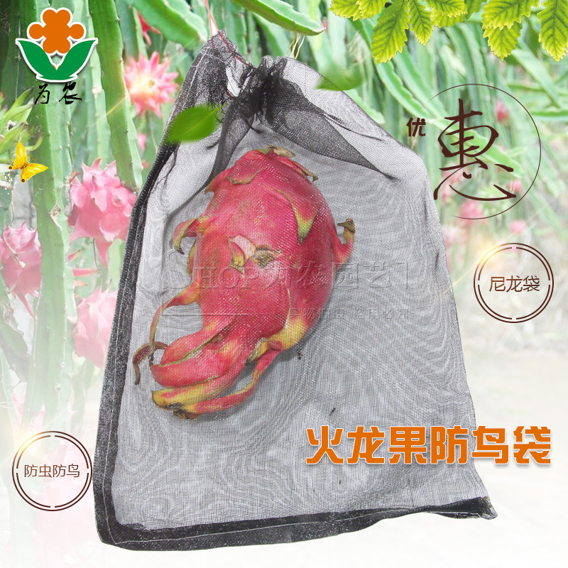 Абсолютный эталонный образ