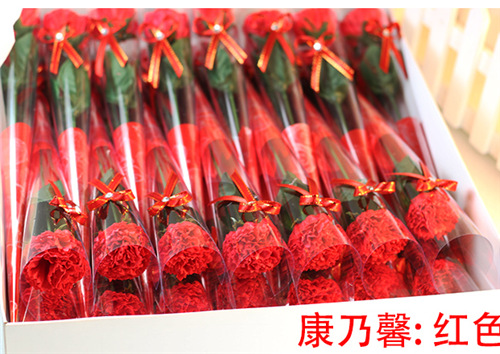 康乃馨 红