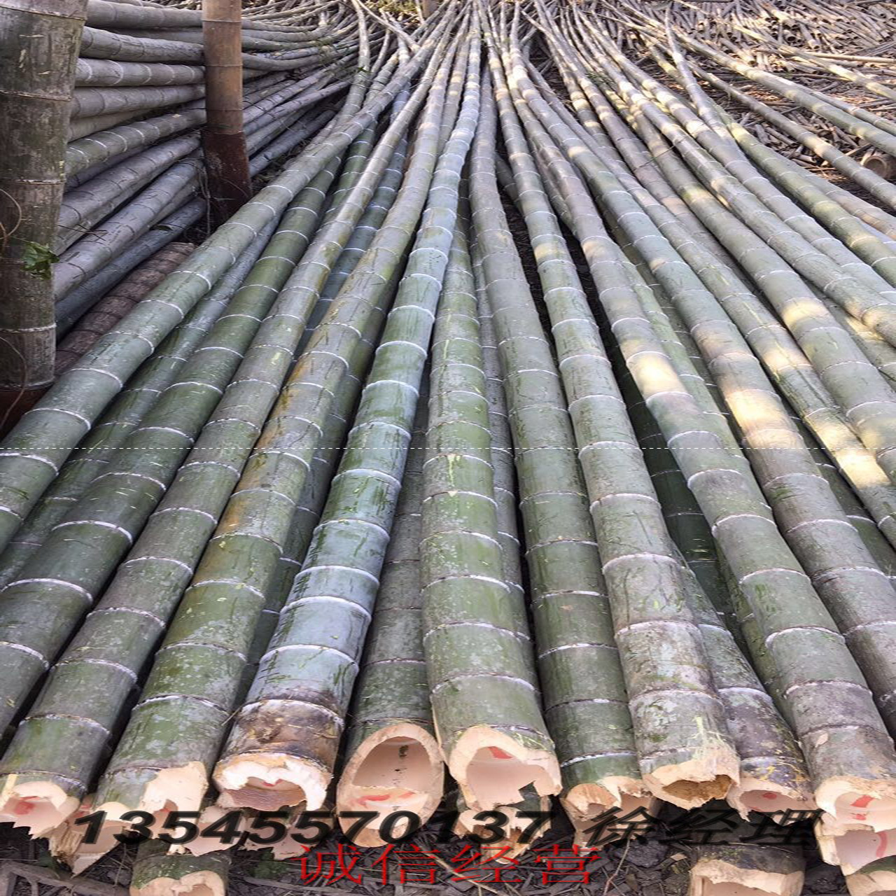 厂家供应亚山大楠竹 毛竹 竹梢 建筑用材 林业及园林业副产品-阿里巴巴