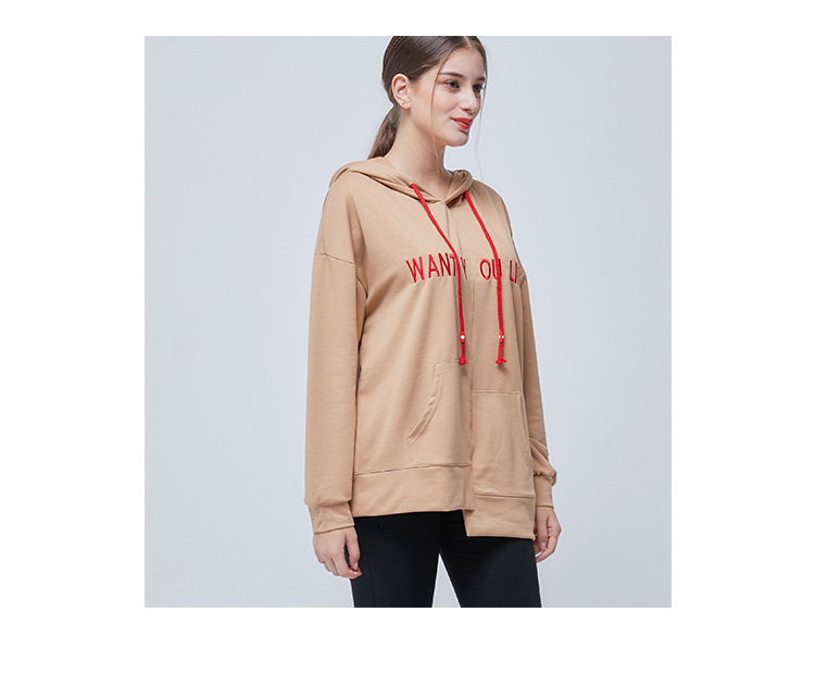 spring and autumn new fashion casual hooded sweatshirt  NSJR18180