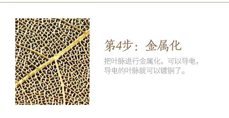 Natural Leaves Gold-Plated Long Necklace Personalized Simple Leaf Sweater Chain detail image 12