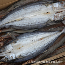 Lianyungang đặc sản cá thu mặn mực khô cá muối khô dao mực sản phẩm cá hải sản hàng khô bán buôn Hải sản khô