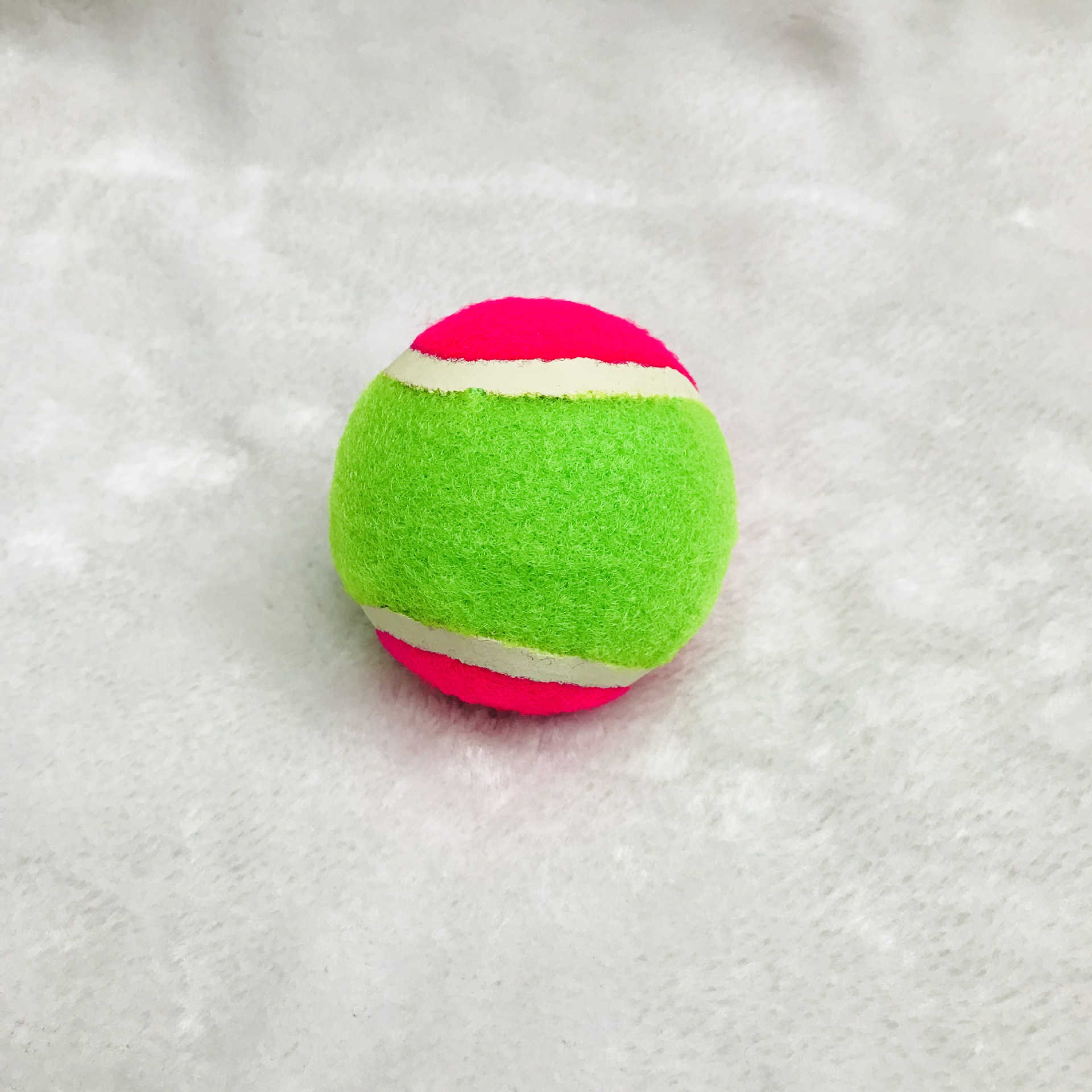 粘巴拍IMG_2410(20171215-160203)