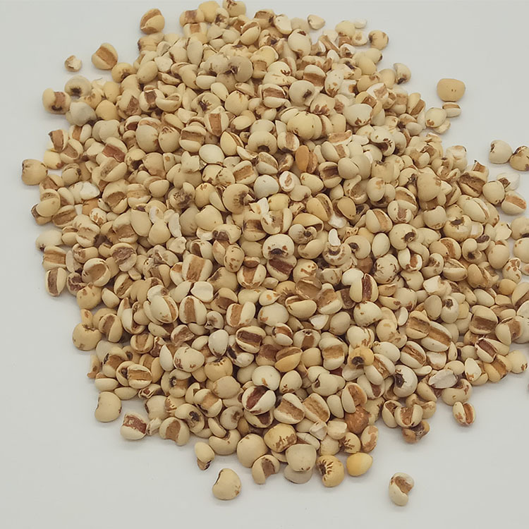 Low Temperature Baked Coix Seed Yi Ren Mi 5 Jin Bulk Job's Tears Grain quality and texture