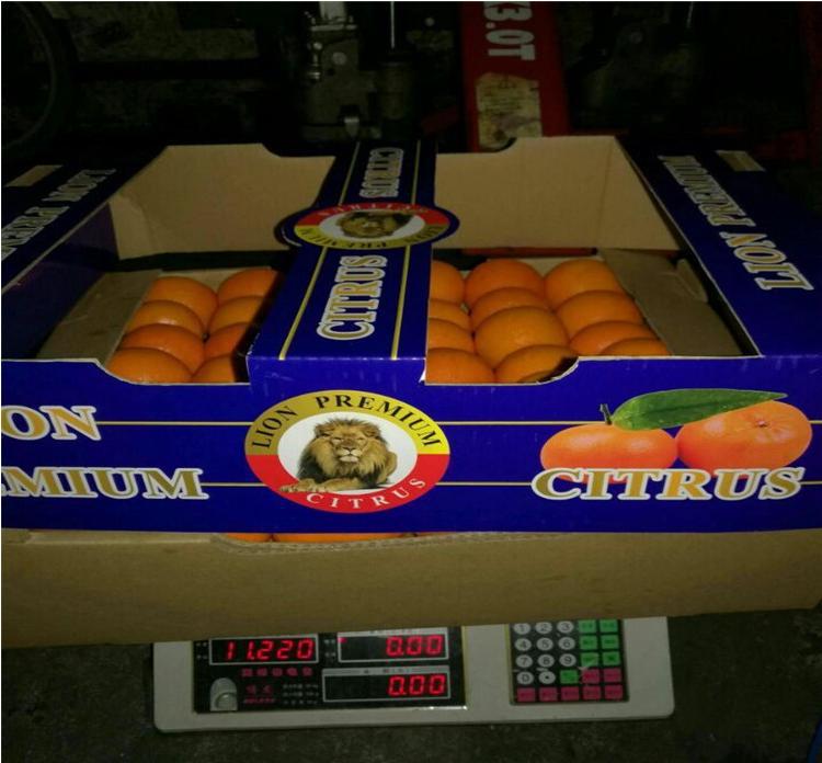 360截图20170608171455765