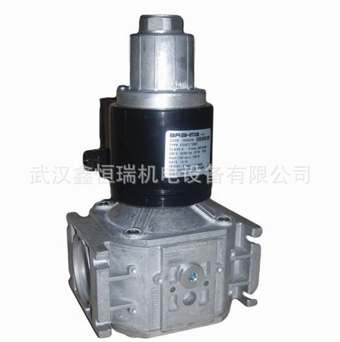 燃气电磁阀EG25*SRP.3*GFD5 原装正品