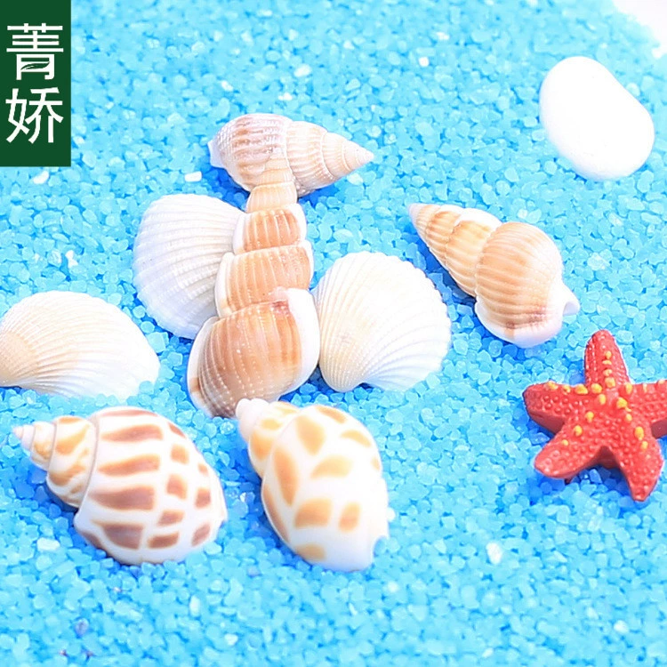 Jingjiao мини маленькая раковина Ремесла раковина микро пейзаж Пляж DIY дополнительный Улитка гребешок