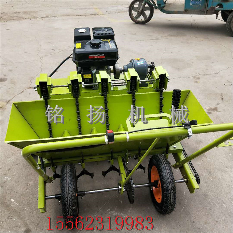 新型种蒜机哪里有卖烟台自走式插蒜栽蒜机