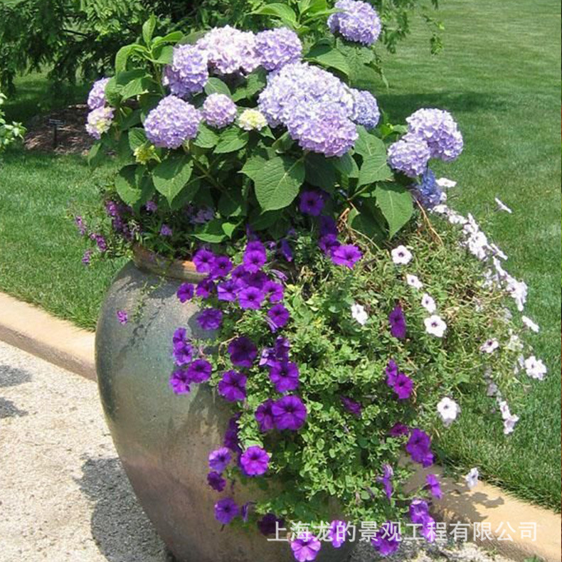 �����������¾���װ��СƷ|��������רҵ�ӹ�������|����ֱ����Ʒ