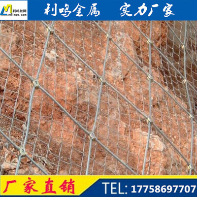 批发定做sns柔性边坡防护网 防山体滑坡防落石柔性钢丝绳网|ms
