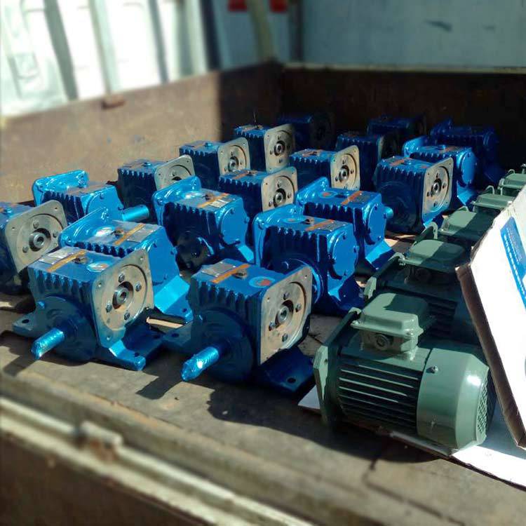 包装机专用减速机3