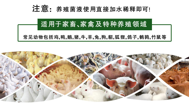 养殖菌液适用对象