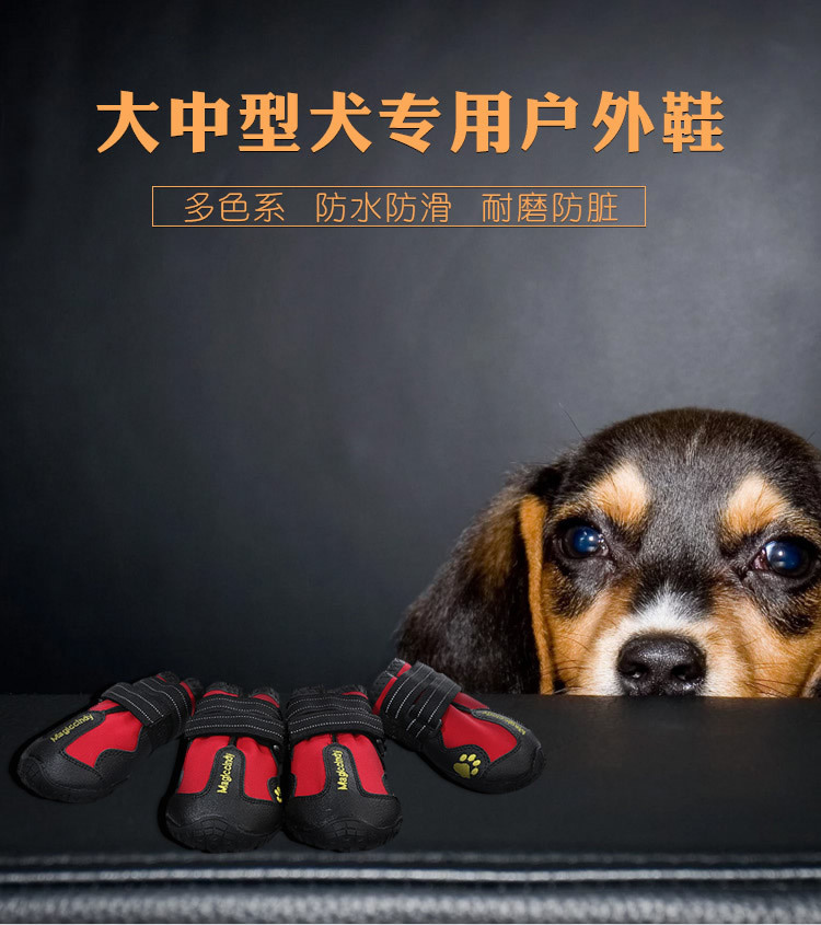 宠物鞋子新_r1_c1