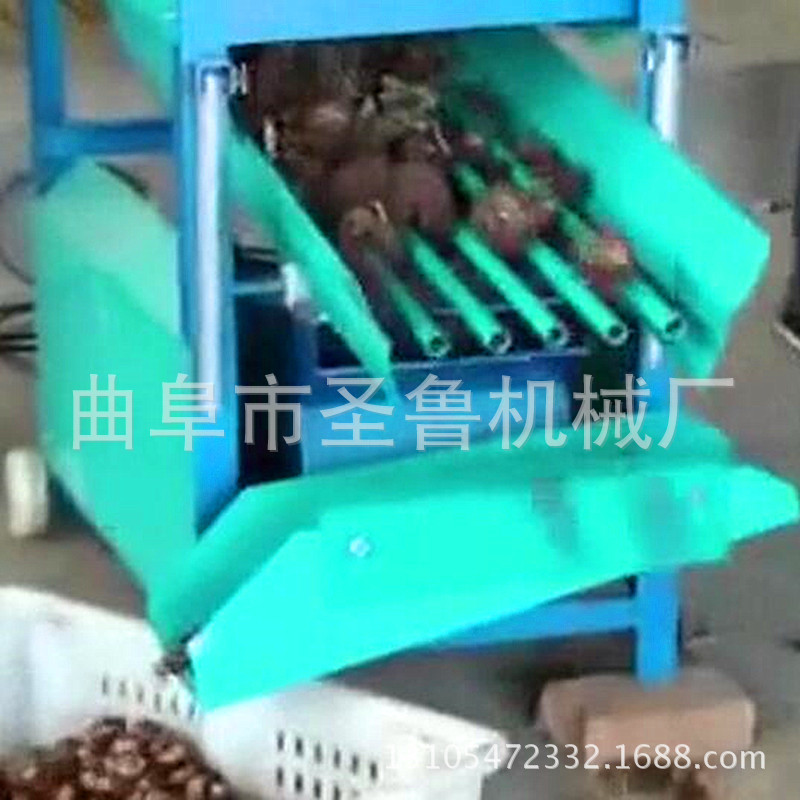 板栗機(jī)效果1