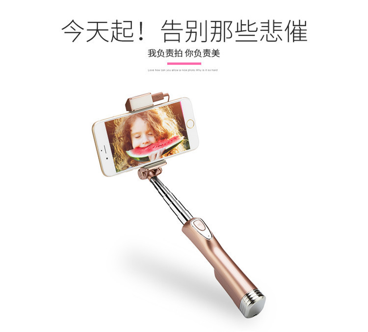 Stick selfie en Acier inoxydable - Ref 3386607 Image 18