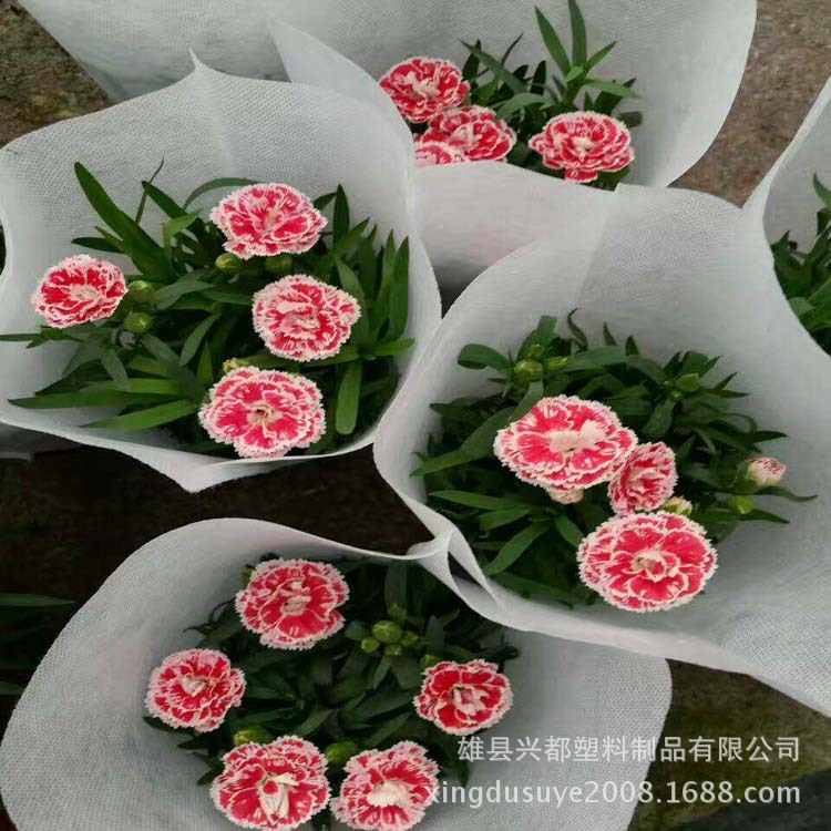 QQ图片20171010113510