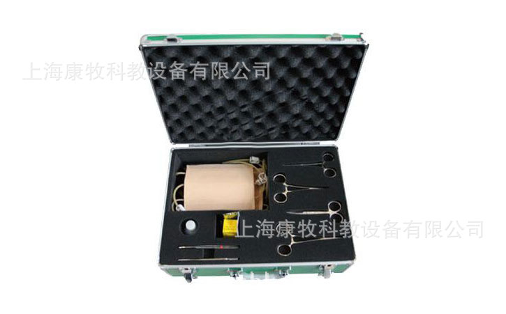 表面血管结扎止血模型