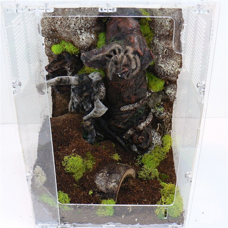 acrylic reptile display cases