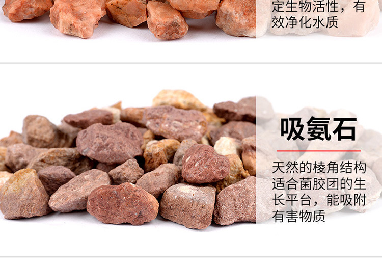 �˲�-����750_17