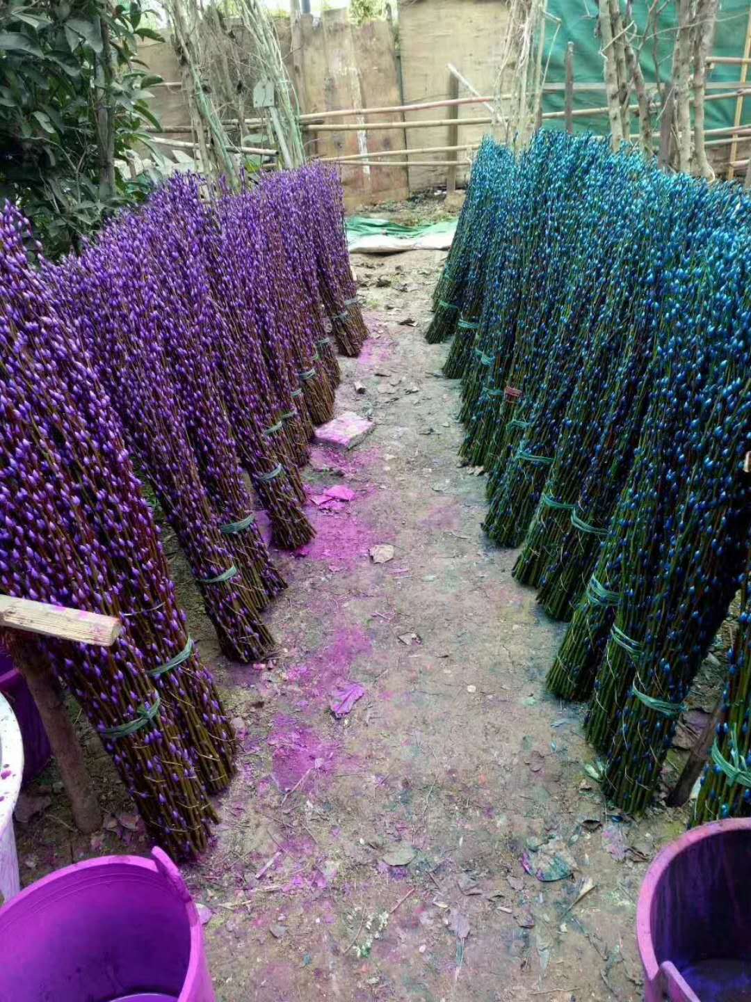 寰俊鍥剧墖_20171108153534