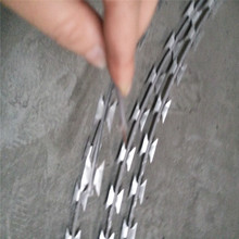 늾��z��Ƭ���K �S�����a ���P�늾���Ƭ�� �L�̿ɶ�