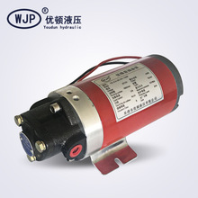 長期供應 12伏抽油泵 定量抽油泵 移動式自動潤滑泵