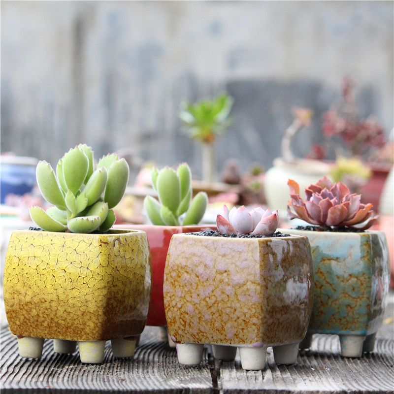 New small square fleshy plant Flower Pot Kiln Ceramic pot stoneware breathable pot Peacock glaze flower pot factory direct sales