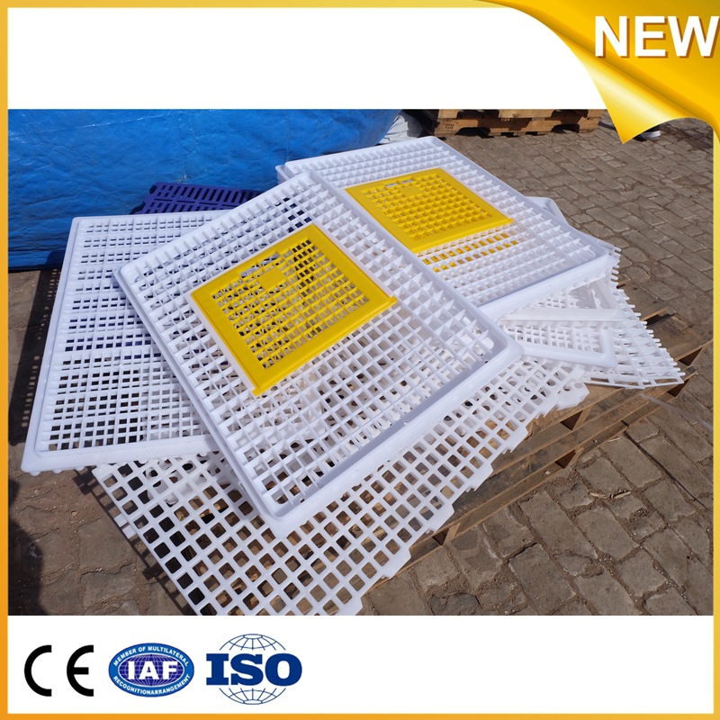 优质塑料运输鸭笼 鹅笼 鸡笼 适用于6-10斤的禽类  厂家直销