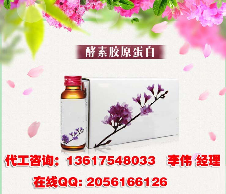 酵素胶原蛋白饮品加工