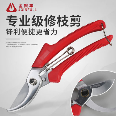Formosa high quality gardening Pruners Shears Fruit tree Flowers gardens Pruning tool scissors