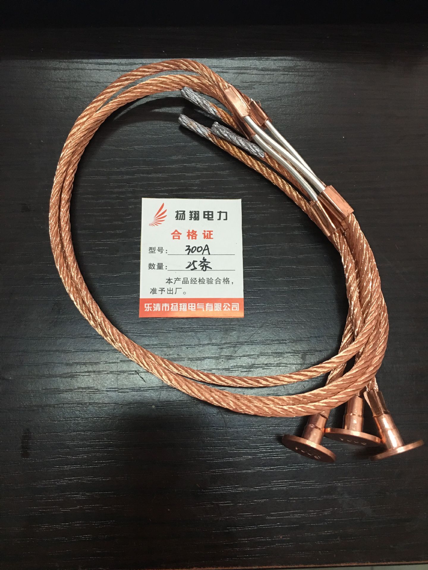 300A熔丝 带扣保险丝10KV 户外RW跌落式熔断器用 高压熔丝10KV