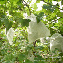 ���u�S�����a ������ ˮ���״� �����״� ���Ѽ��� �������l