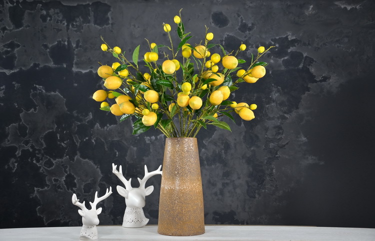 2-14黄色欧罗柠檬