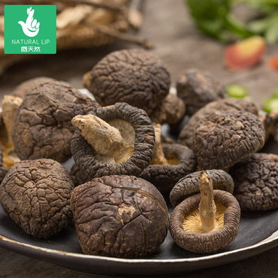 廣元特産椴木香菇 500克食用菌椴木香菇 幹香菇廠家直銷支持拿樣