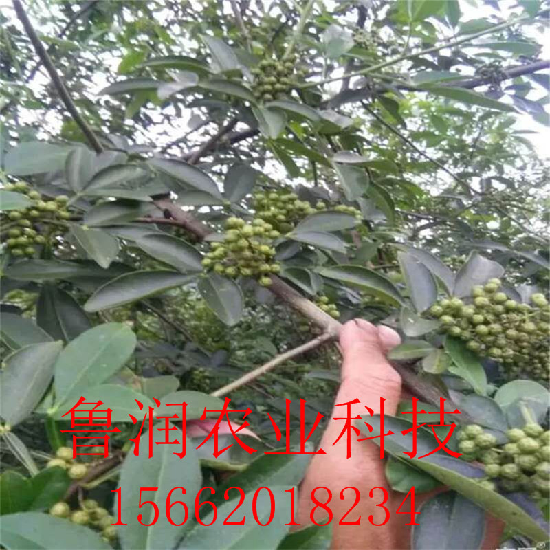 [微信图片_20170902194728]