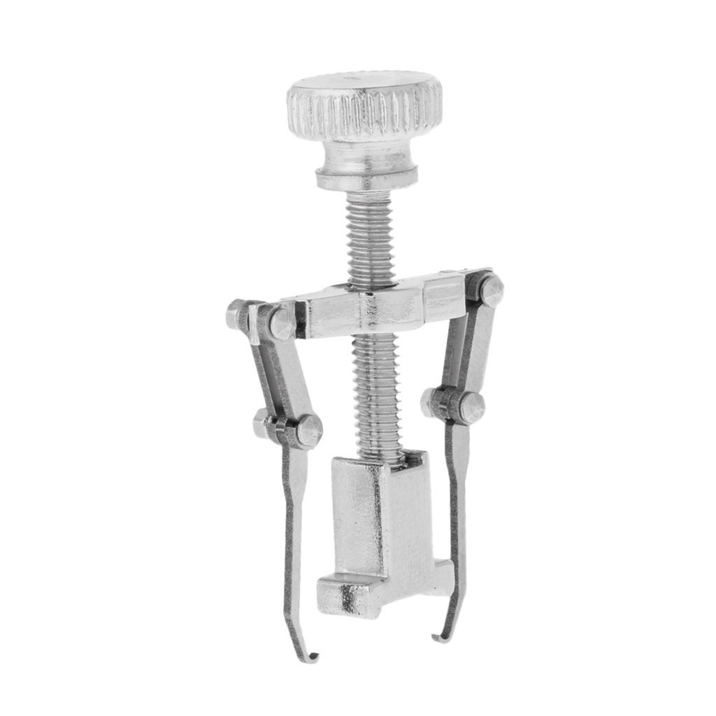 51SvWYXgzxL._SL1024_