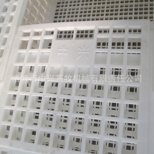 �����\�u�� �����u�\ ���u���D�� �������D���r��