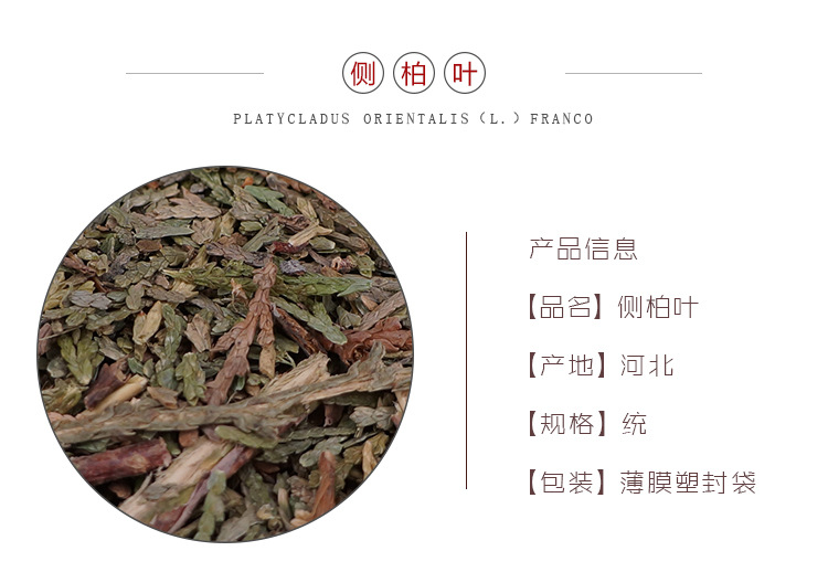 Dried Cebai Ye Chinese Arborvitae Leaf 500g Traditional Herbal Tea and Decoction Herb overview